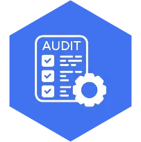UI/UX Check-ups (Audits)